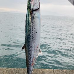 久々のマルチヒット