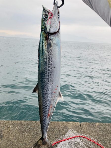 久々のマルチヒット