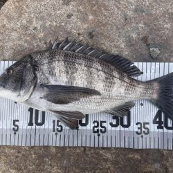 イチノ兄弟、釣果！