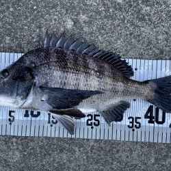 イチノ兄弟、釣果！