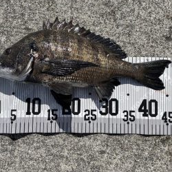 イチノ兄弟、釣果!