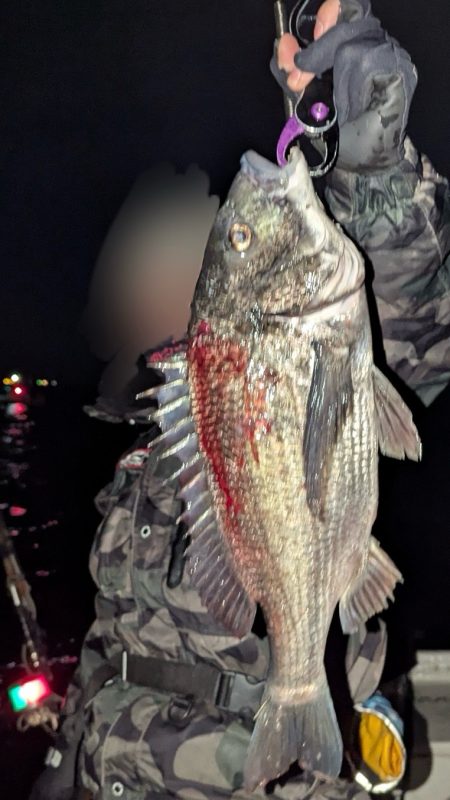 好調！　チヌジギング