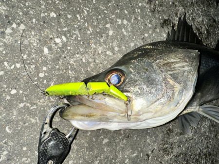 もう再販して欲しい！上州屋浦安店さんお願い…