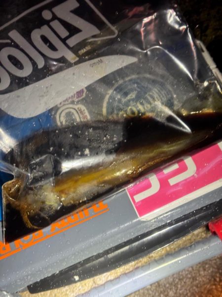 降雪ヤリイカ狙い