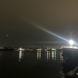 ファーストフィッシュ