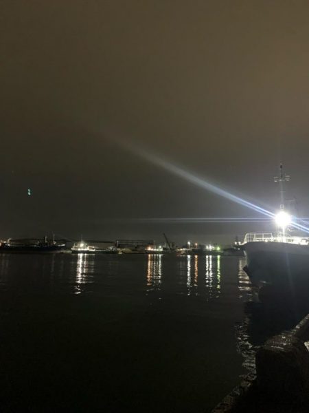 ファーストフィッシュ