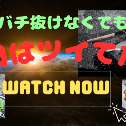 狙い通り！ちゃんとやれば二投目で釣れる！