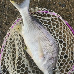 極寒チニング！