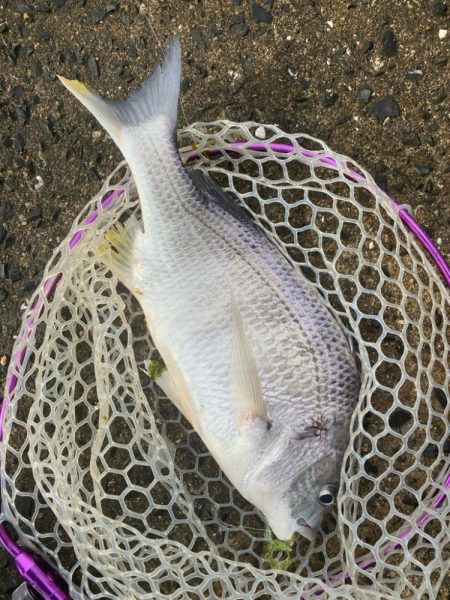 極寒チニング！