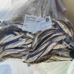 ワカサギ の聖地へ出陣！