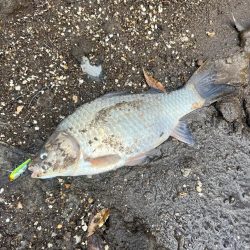 台風なみの爆風にて💨