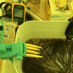 サクラマス釣行前のワカサギ 腕試し