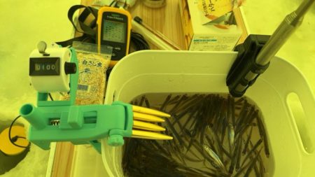 サクラマス釣行前のワカサギ 腕試し