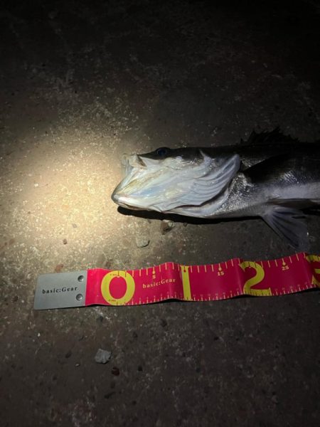 バチ抜けで悔しくもあと2cm！