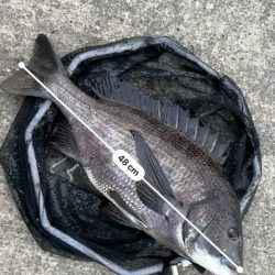 ヘチってきました