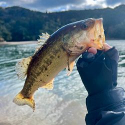 雪の残る中❄️