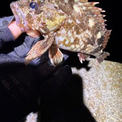 久しぶりにガシリング