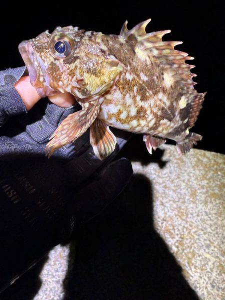 久しぶりにガシリング