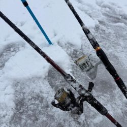 定置エギ漁、、?