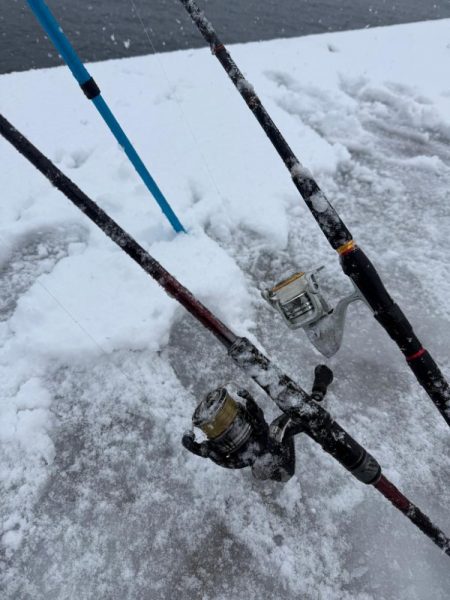 定置エギ漁、、?