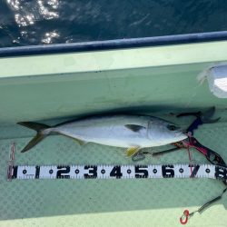 レンタルボート