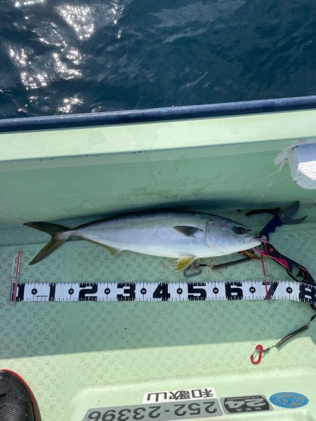 レンタルボート