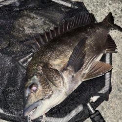 ヘチってきました