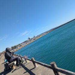 ライトゲーム全く…サビキでサッパ良好！