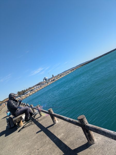 ライトゲーム全く…サビキでサッパ良好！