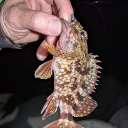 雨天ライトゲーム