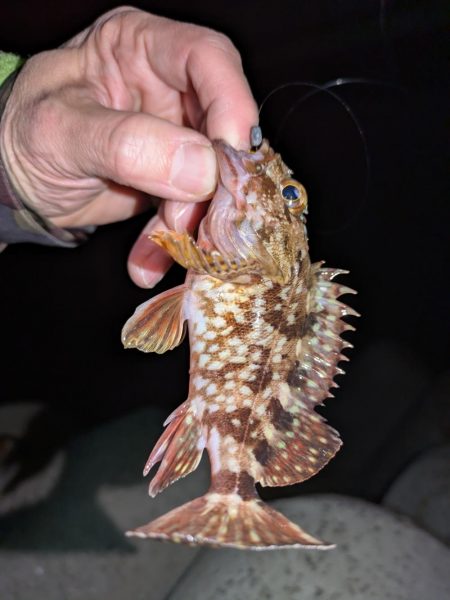 雨天ライトゲーム