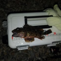 フロートゲーム～