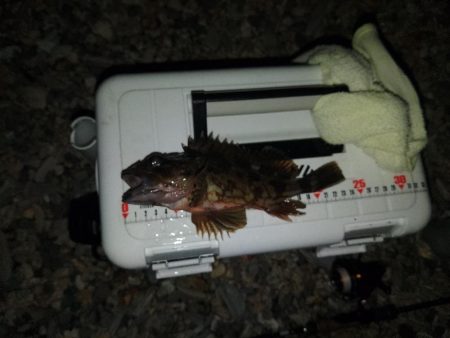 フロートゲーム～