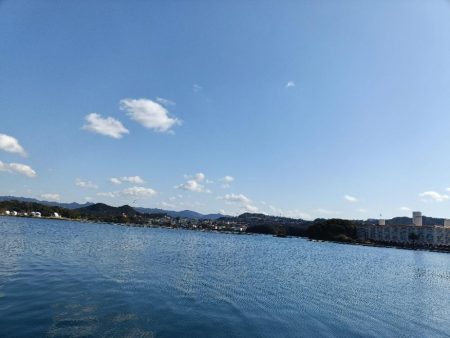 2/7釣果のっこみチヌ