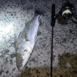 極寒フィッシングあれこれ。