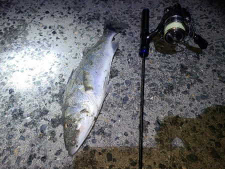 極寒フィッシングあれこれ。