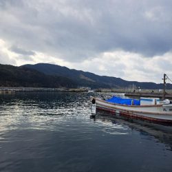 久しぶりの入れ食い