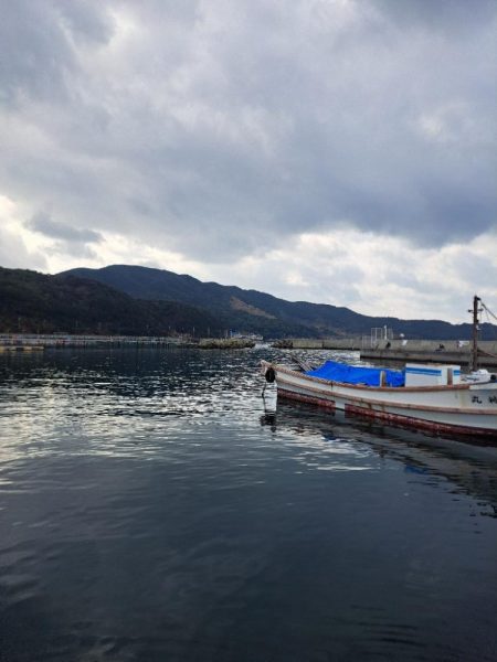 久しぶりの入れ食い