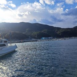 吹雪でも釣れる