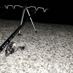 でかいアイナメを求めて