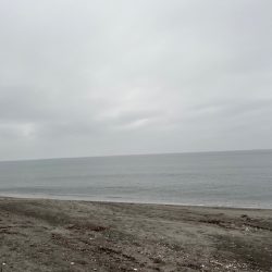 真冬のサーフでキス釣りしてきました