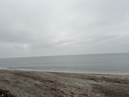 真冬のサーフでキス釣りしてきました