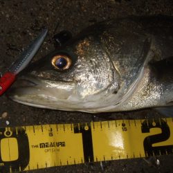 1バイトが貴重な厳寒期