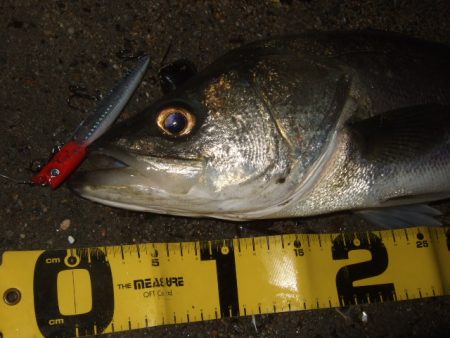 1バイトが貴重な厳寒期