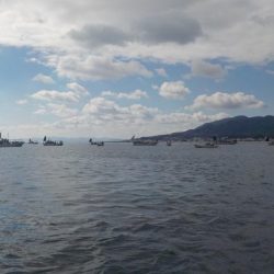 メバルサビキ第2戦