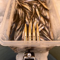 秋元湖氷上ワカサギ