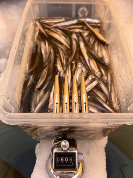 秋元湖氷上ワカサギ