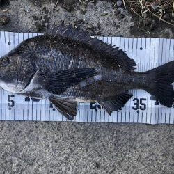 イチノ兄弟、釣果！