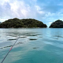 ヤリイカエギング、爆釣?