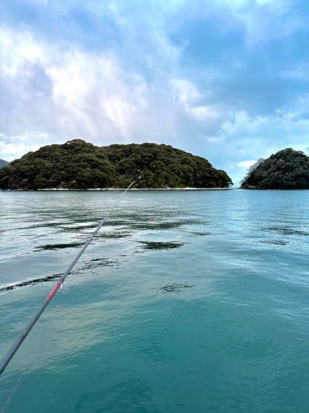 ヤリイカエギング、爆釣?